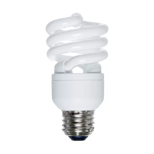 Agrobrite Compact Fluorescent Lamp, 13W (60W equivalent), 6400K