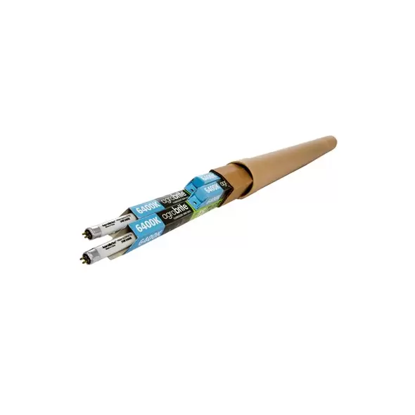 HDF T5 2' 6400K Bulb (Packed 4 bulbs per Inner Case)