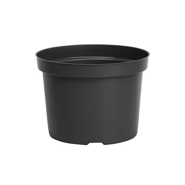 DLN 09.00X06.50 MUMPAN T/W BLK 54/CS 60CS/PL