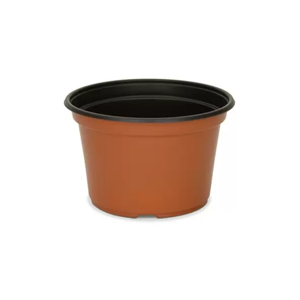 DLN 08.00X05.00 MUMPAN COEX TC/BLK 170/CS 45CS/PL