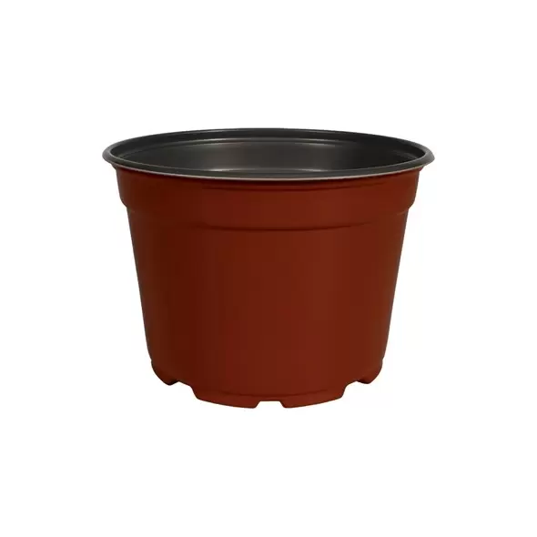DLN 09.00X06.25 MUMPAN COEX TC/BLK 90/CS 48CS/PL