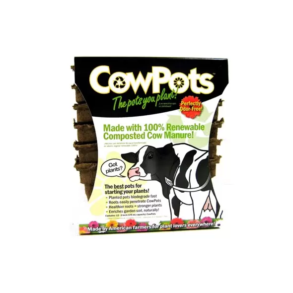 Summit Cow Pot