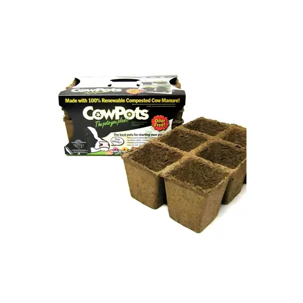 Summit Cow Pot