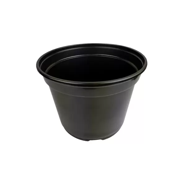 Grower Select 08.00 Coex MumPan Black 3.54qt 300/CS - 8in OD x 6.0in H