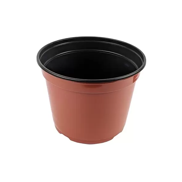 Grower Select 08.00 Coex MumPan Terra Cotta 3.54qt Bulk 3220/PL - 8in OD x 6.0in H
