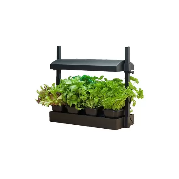 Growlight Garden Micro Black
