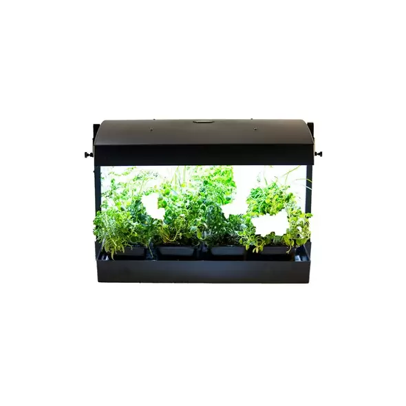 SunBlaster LED Grow Light Garden Black