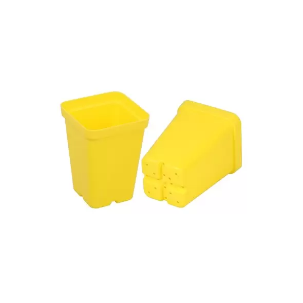 SunPack 2.5" Square Pot, Yellow