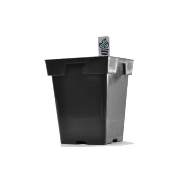 Belden Jumbo Sr Sq Pot 5.25" X 6.50" 13.33 cm Black 200/cs