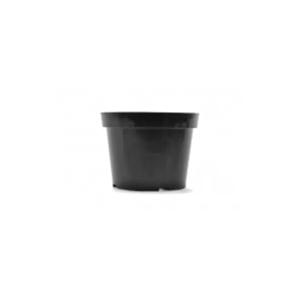 BLD 08.00 AZ TEXTURED BLK 100/CS 36CS/PL 692508