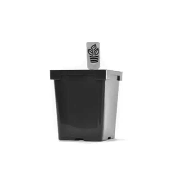 Belden Jumbo Jr Sq Pot Black 375/cs