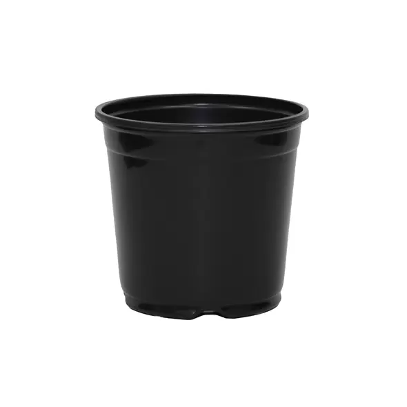 JAN 17CM H TRADE 1GL POT BLK 360/CS