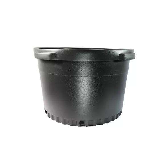 NS 6900SBXL OLYMPIAN SQUAT, TRADE SIZE 10 GALLON, 10.66 GALLON, BLACK 19/CS 15CS/TWR (18-3/8"X12-1/8"), 10Gallon
