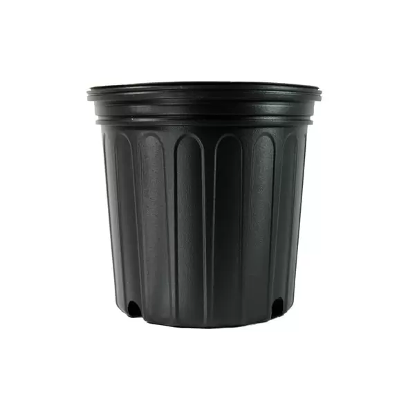 NS 600CU CUSTOM, TRADE SIZE 2 GALLON, 1.5 GALLON, BLACK 105/CS 50CS/TOWER (9"X8-1/2"), 2Gallon