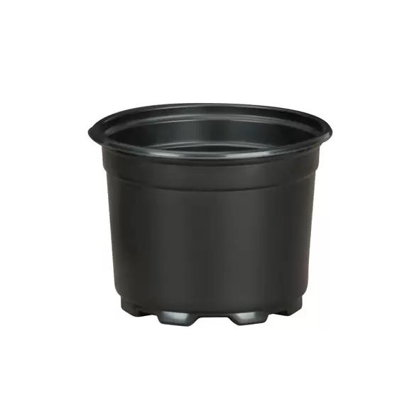 DLN 05.00 AZ SHORT COEX BLK/BLK 675/CS 36CS/PL