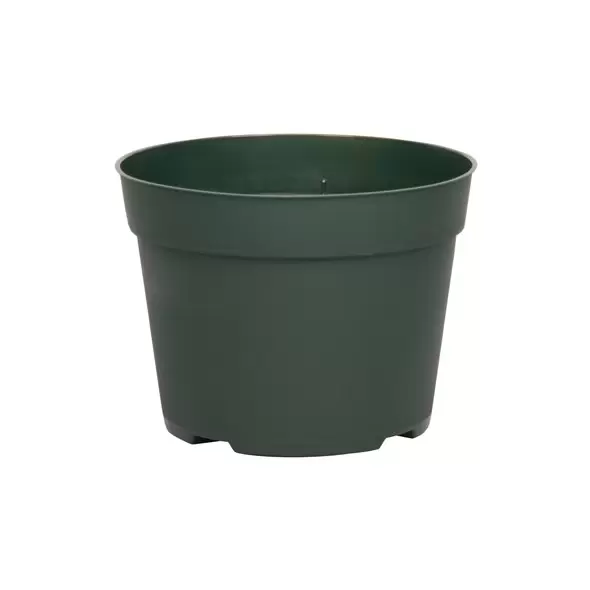 DLN 06.50 RND AZ TRAD T/W 300GN 240/CS 48CS/PL