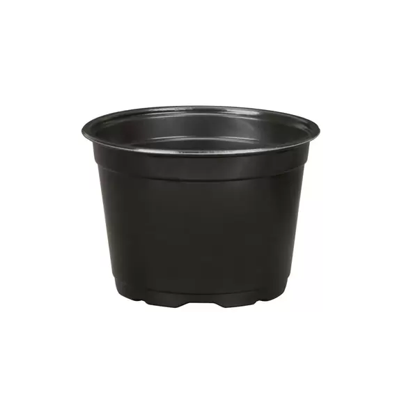 DLN 17.00 CM EURO POT COEX SHORT BLK 300/CS 32CS/P