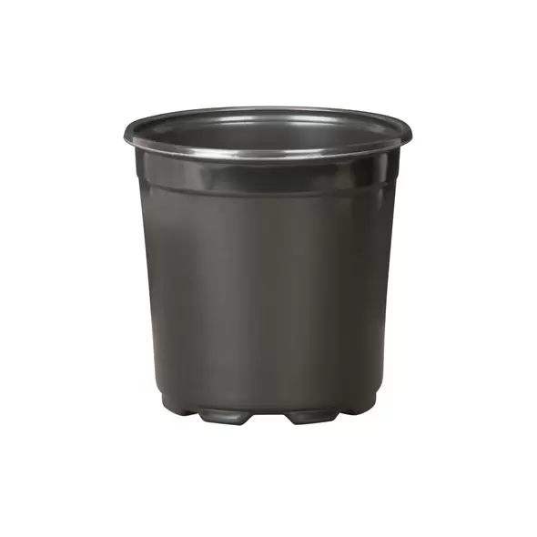 DLN 17.00 CM EURO POT COEX TALL BLK 294/CS 32CS/PL