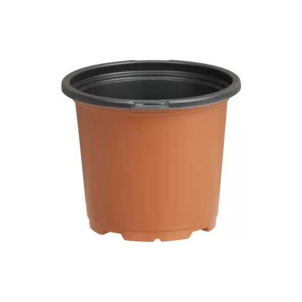 DLN 04.50 RND GER COEX TC/BLK 720/CS 40CS/PL