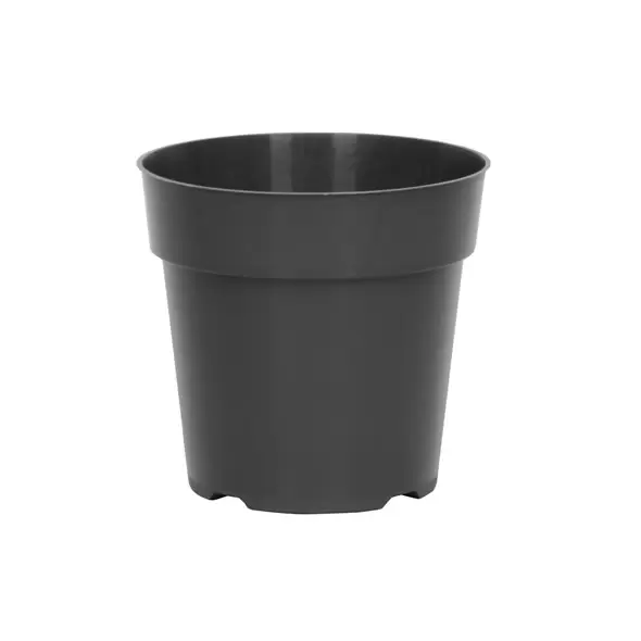 DLN 06.00 RND STD T/W 300GN 440/CS 32CS/PL