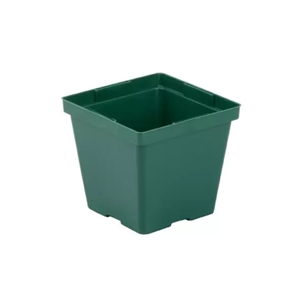 DLN 04.00 SQ T/W TL 300GN 846/CS 32CS/PL