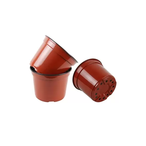 Grower Select 06.00 Coex Azalea Round Pot Terra Cotta 660/CS
