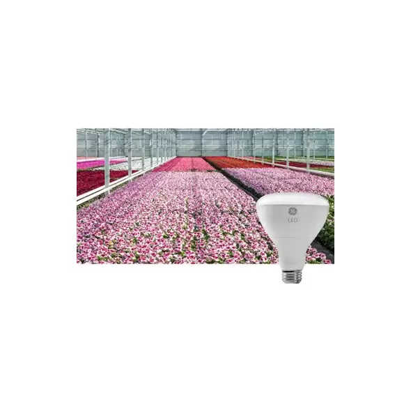 GE ARIZE GREENHOUSE PRO (FLOWERING LAMP) 93042116 - GEHB3010PKF12-1