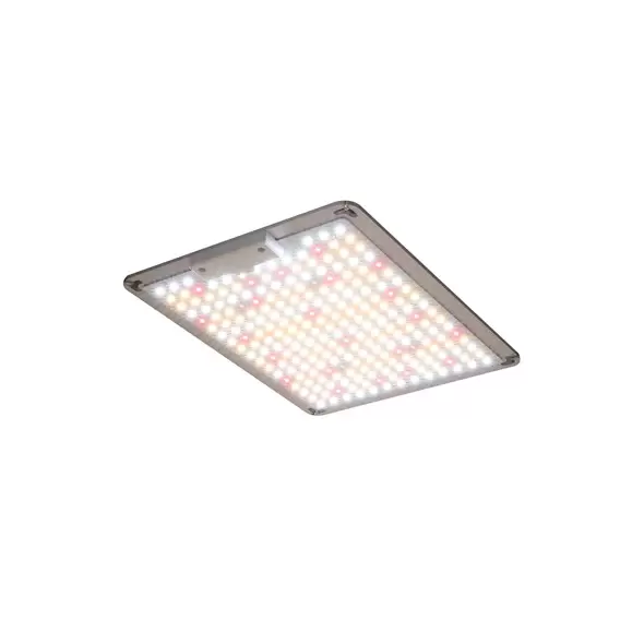 MEG 100W LED 100-277V for Grow Tents