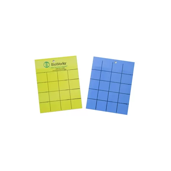 BioWorks Sticky Cards Yellow & Blue 100/bx 4 x 5
