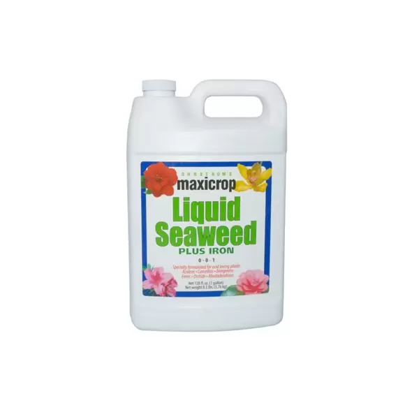 Maxicrop 1gal Plus Iron 2%
