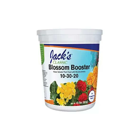 Jacks Classic 1.5