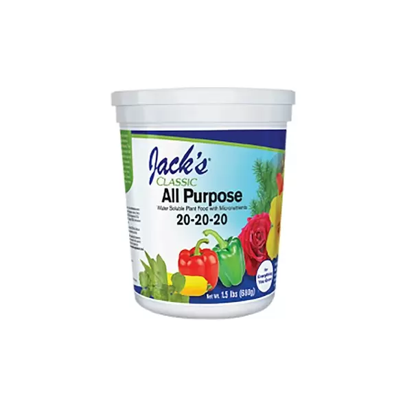 Jacks Classic 1.5