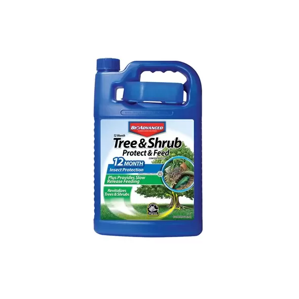 BioAdvanced 1gal 12 Month Tree & Shrub Protect & Feed (Keywords: Bayer )