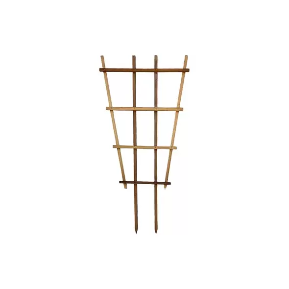 A&G 2'x4' Fan Espalier Trellis