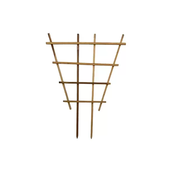 A&G 3'x4' Fan Espalier Trellis