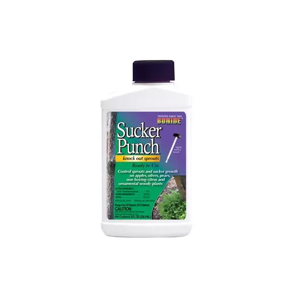 Bonide 8oz Sucker Punch RTU Brush Top