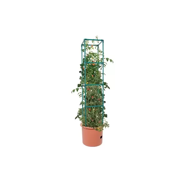 HDF Heavy Duty Tomato Barrel w/ Tower