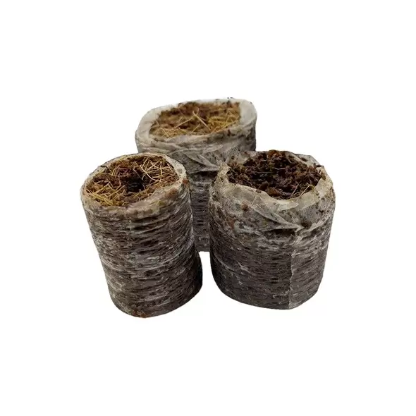 Riococo 32mm PCM Plug 2500/CS (157500/PL)