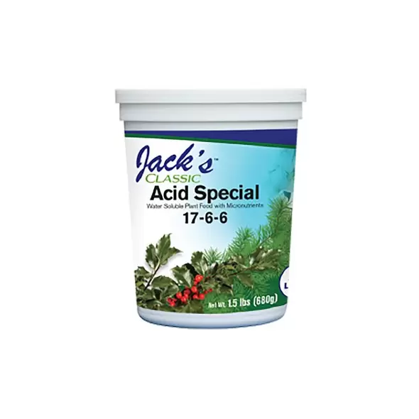 Jacks Classic 1.5
