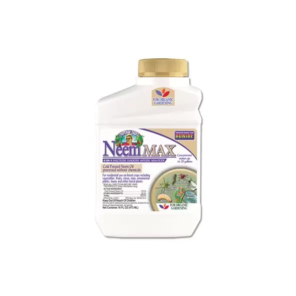 Captain Jacks Pt Neem Max