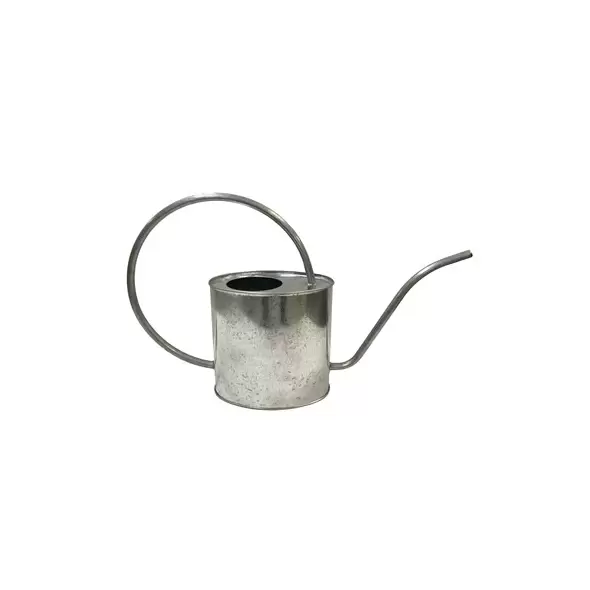 Gardener Select 2L Oval Watering Can Galvanized L16.9"xW4.3"xH9.8" Indoor