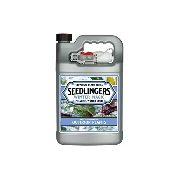 Seedlingers 1gal Winter Magic Ready to Use