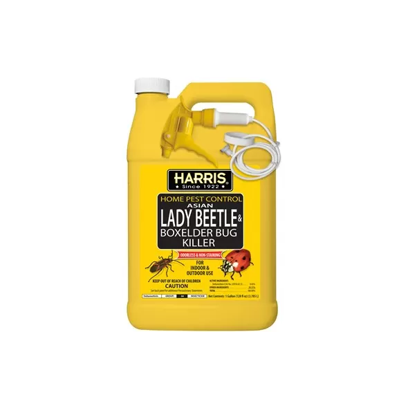 Harris 1gal Asian Lady Beetle & Box Elder RTU