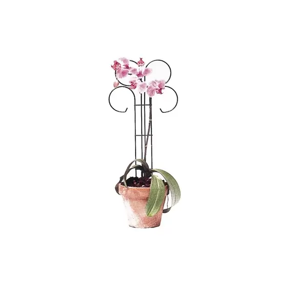 Bosmere Wren 24" Tall x 10" Wide Scroll Pot Trellis