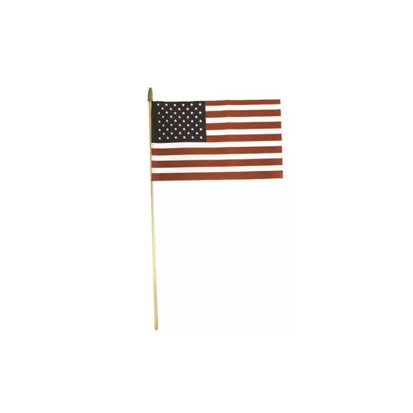 FlagZone 8"x12" US Hand Flag