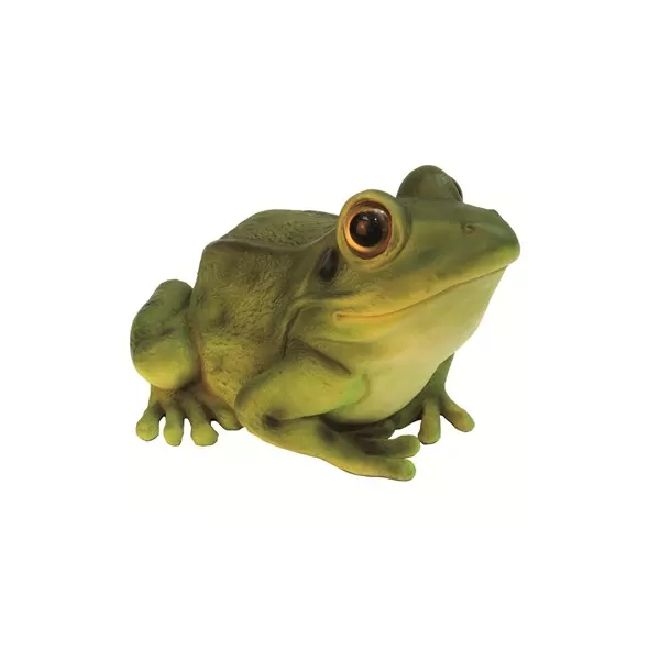 MCarr Frog