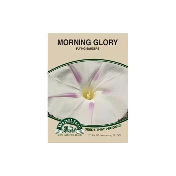 MORN GLORY-FLYING SAUC. 1.5 GM