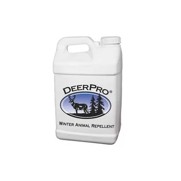 DeerPro Winter Animal Repellent 2.5Gl (2/Cs) ( thiram ) LTD QTY