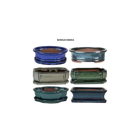 MCarr 6PC 10" Bonsai Planter Mixed Asst