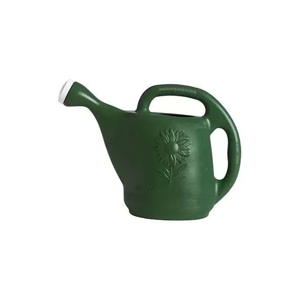 Classic 2gal Watering Can Hunter
